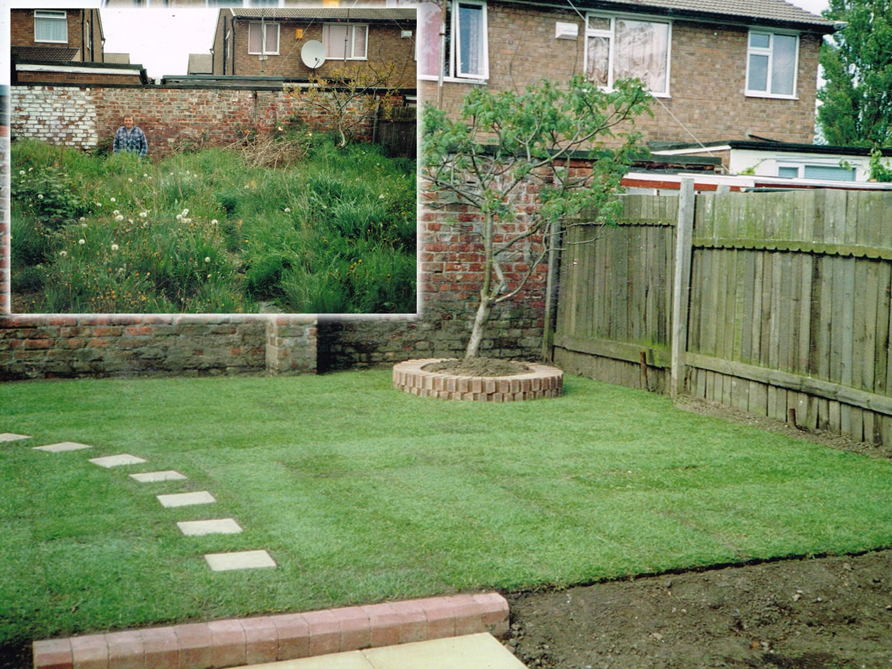 Jungle Fever - Before and After Gallery